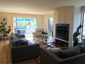 TV, fireplace, toys, books