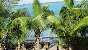 A pathway leading to a beach with palm trees and a wooden deck. - The perfect escape to Paradise!!This stunning 2/2 oceanfront home awaits you (Rolleville)