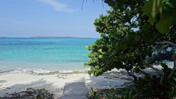 A wooden pathway leading to a beach with clear turquoise water and a distant landmass. - The perfect escape to Paradise!!This stunning 2/2 oceanfront home awaits you (Rolleville)