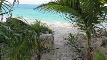 Camastros y toallas de playa