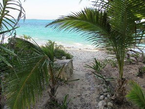 Camastros y toallas de playa 