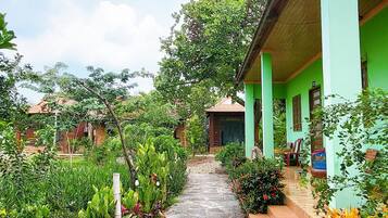 Garden view