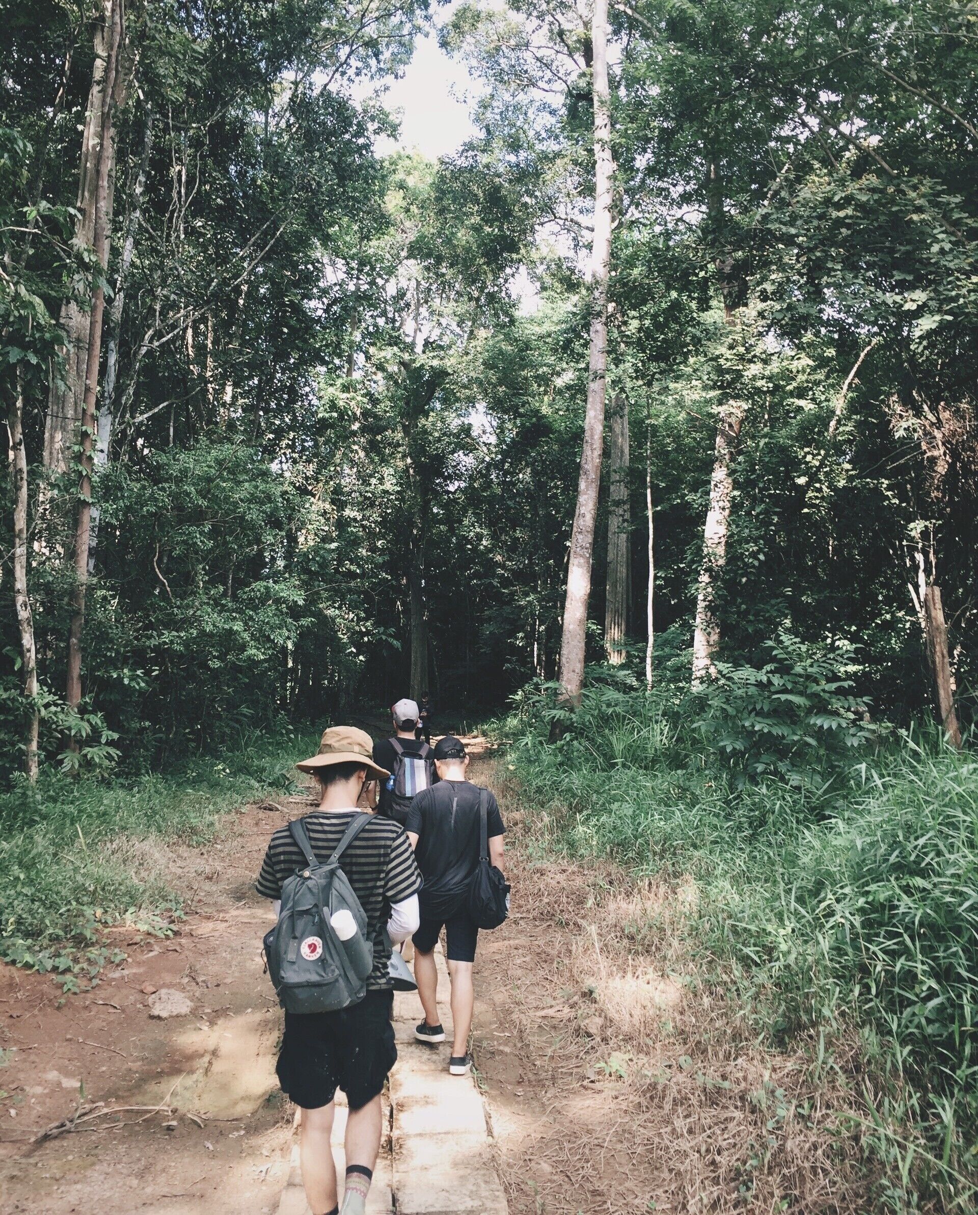 A group of people walking on a dirt path in a forested area.