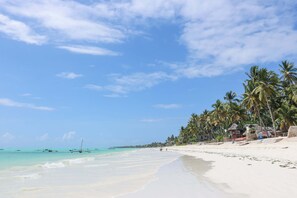 Beach/ocean view - Yellow Card Apartment & Bungalow (Jambiani)