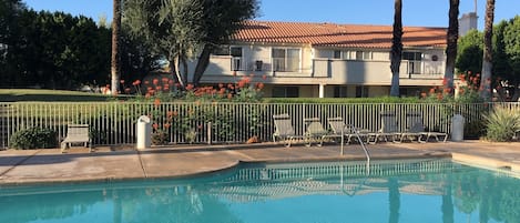 Piscine extérieure, piscine chauffée