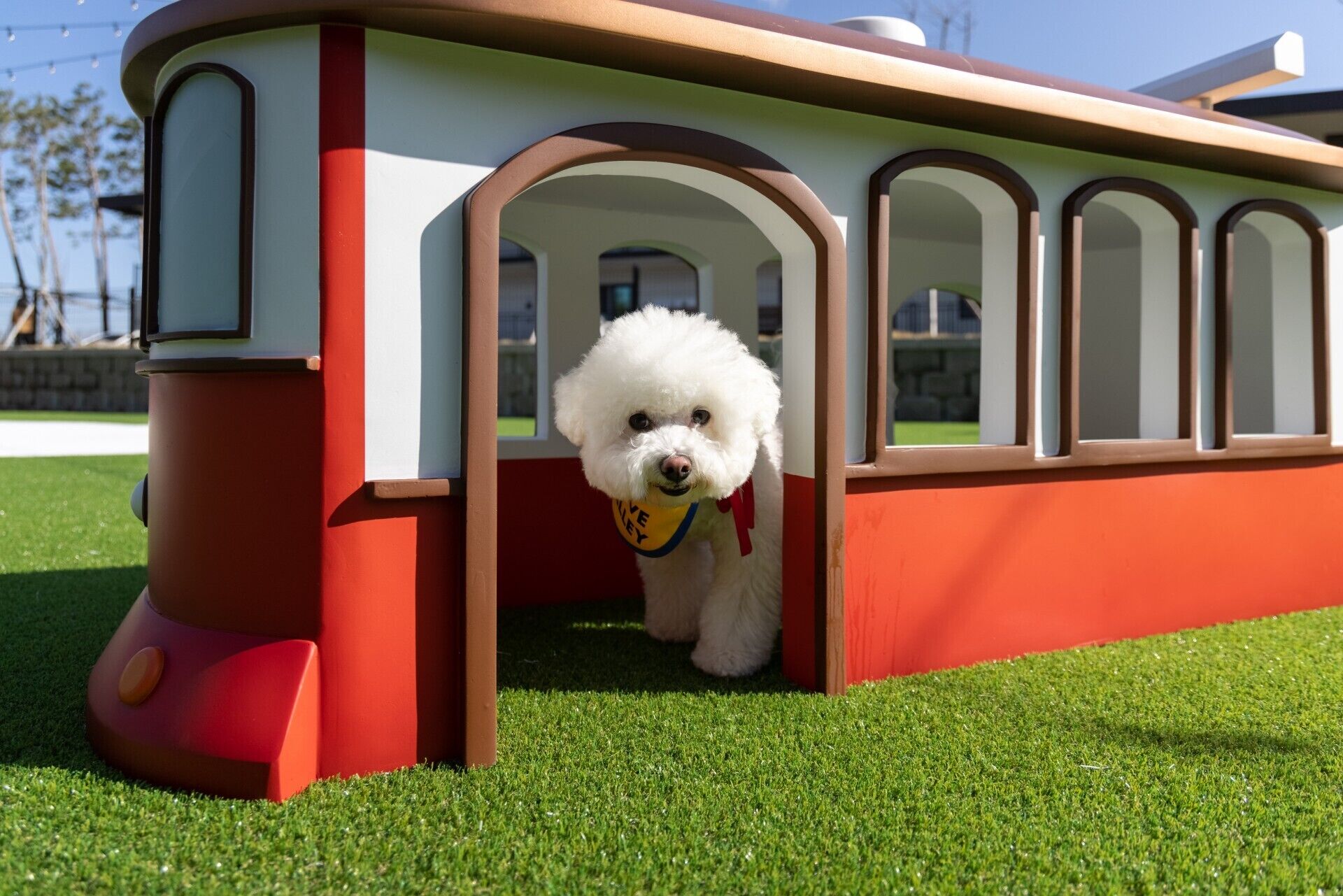Un perro blanco dentro de una caseta roja y blanca con ventanas arqueadas.