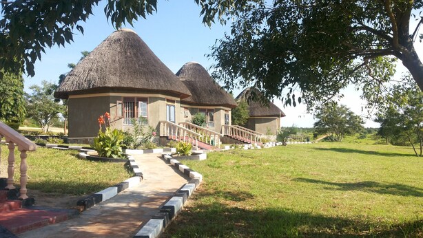 A bungalow-style building with a thatched roof, a paved pathway leading to the entrance, and a well-maintained lawn. - Parkside Safari Lodge (Pakwach)