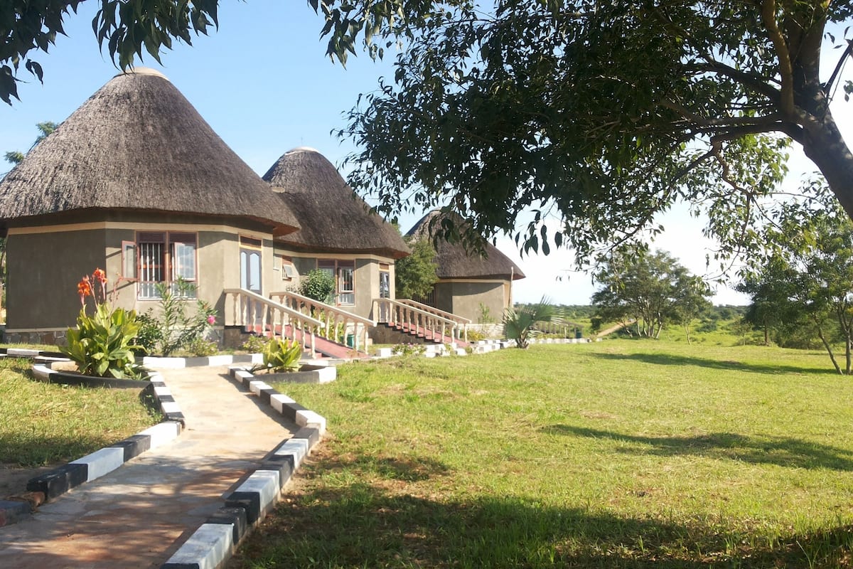 A bungalow-style building with a thatched roof, a paved pathway leading to the entrance, and a well-maintained lawn.