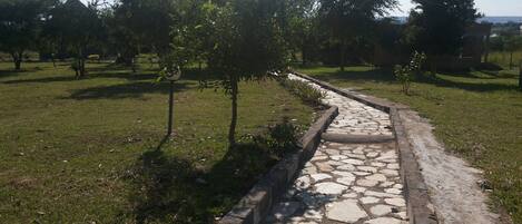 Un sendero de piedra en un área con césped, árboles y una estructura de ladrillo al fondo.