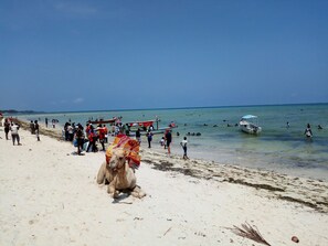 Beach - Mtwapa holiday apartments (Mtwapa)