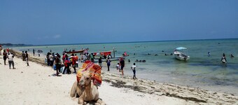 Mtwapa holiday apartments