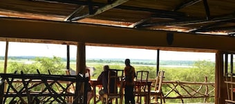 Twiga Tales Safari