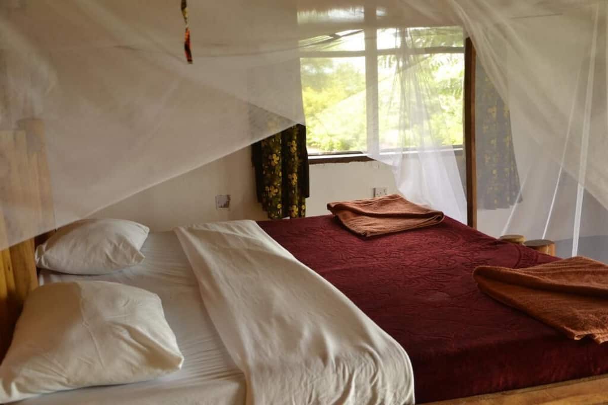 Habitación doble estándar | Ropa de cama de alta calidad, decoración personalizada y escritorio