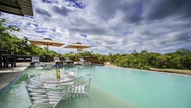 A swimming pool with lounge chairs and umbrellas, surrounded by lush greenery. - Shalati Kruger Lodge (Hluvukani)