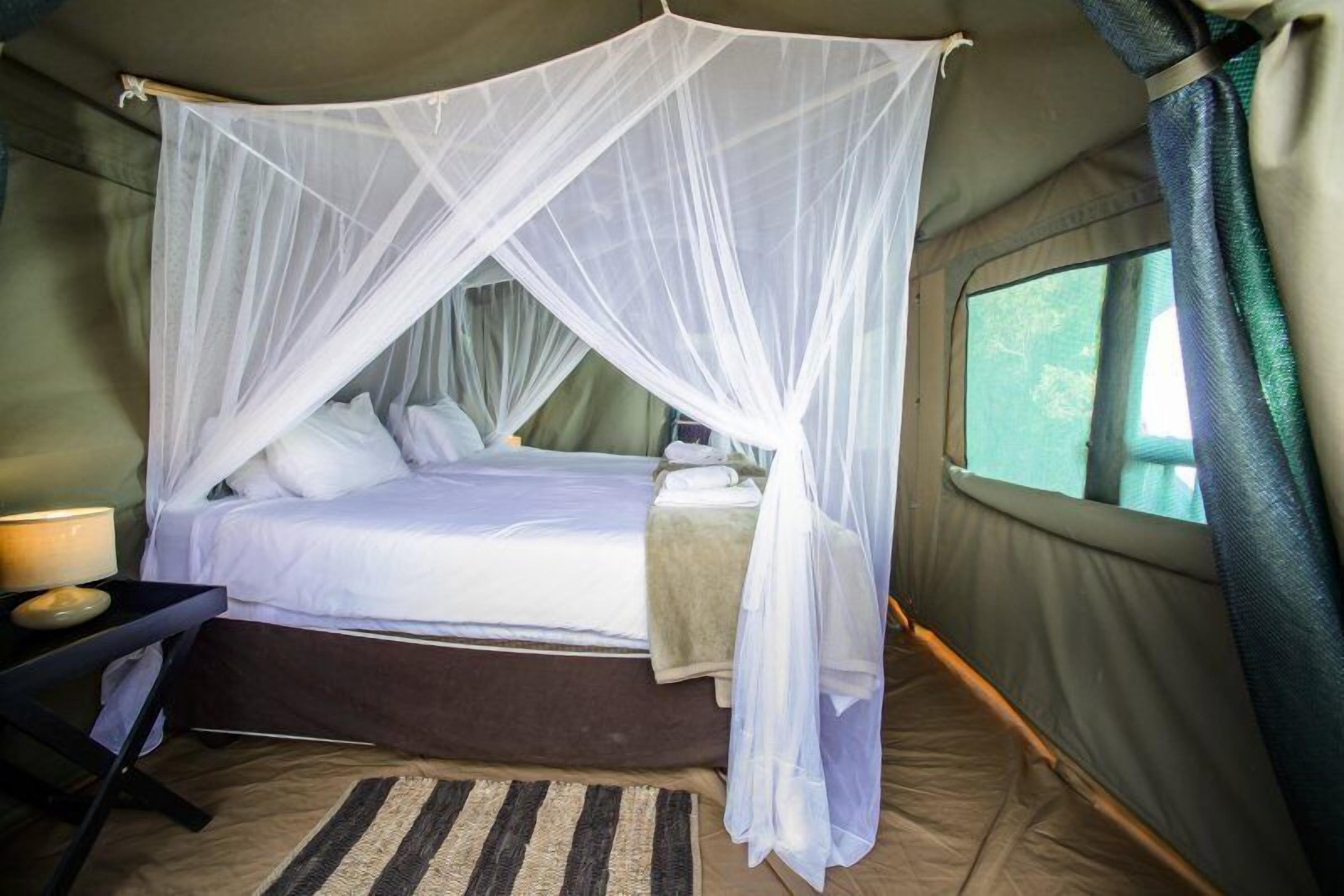 A single bed with a canopy, a bedside table with a lamp, and a window with curtains.