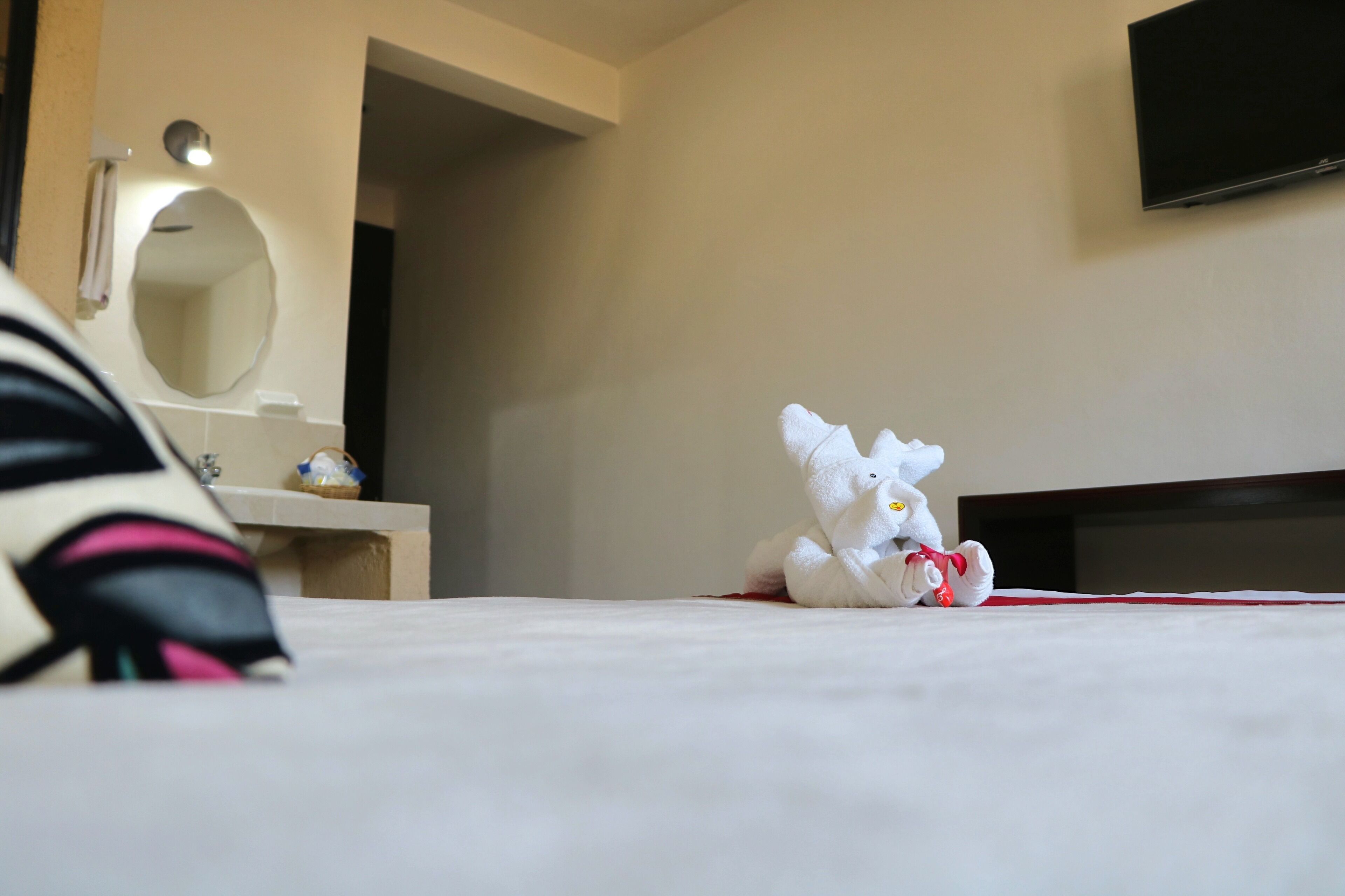 Foto - Hotel Casa Pellegrin