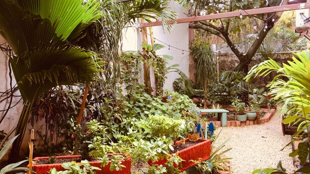 Terrace/patio - Hotel Casa Pellegrin (Mérida)