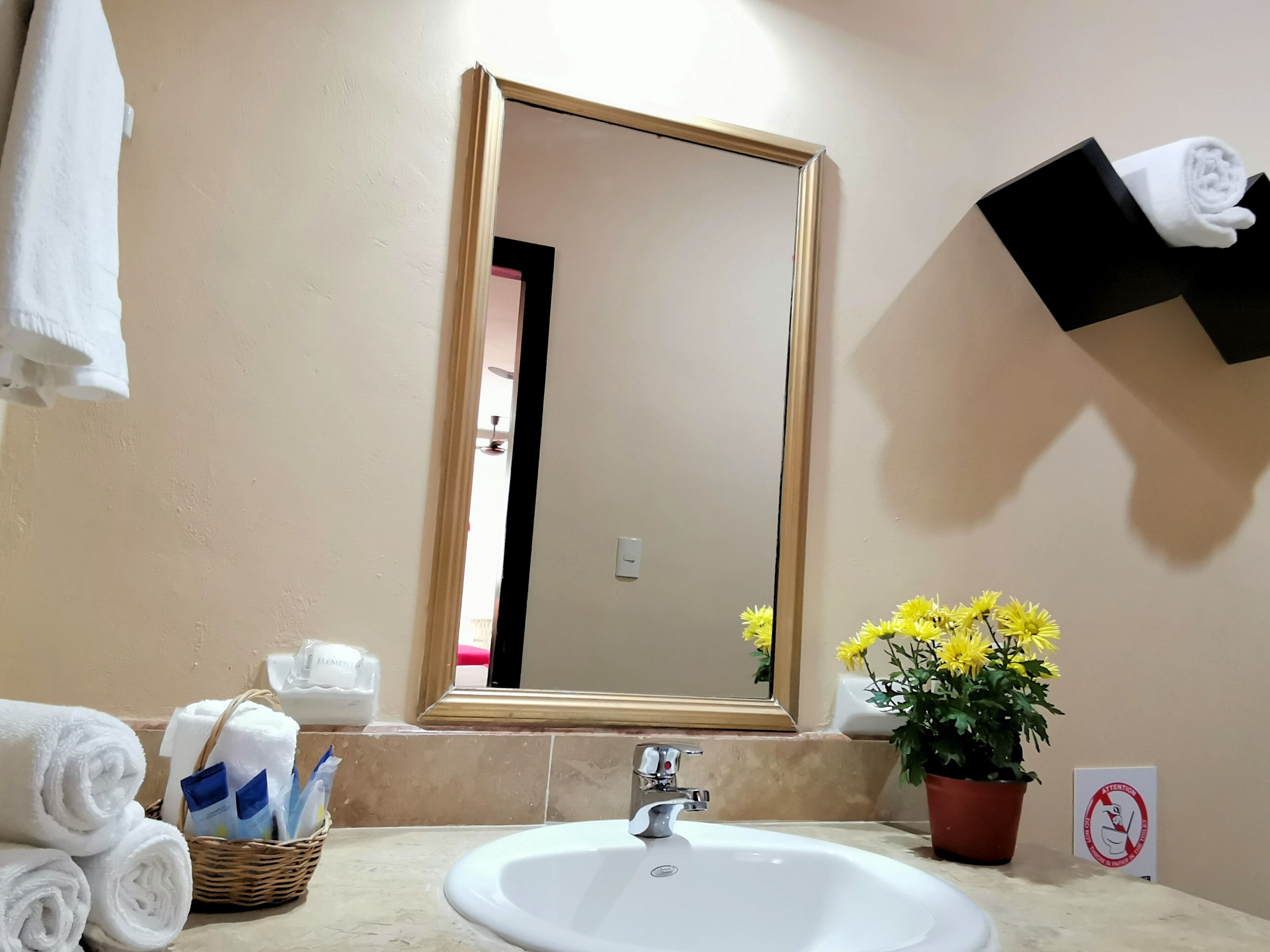 Foto - Hotel Casa Pellegrin