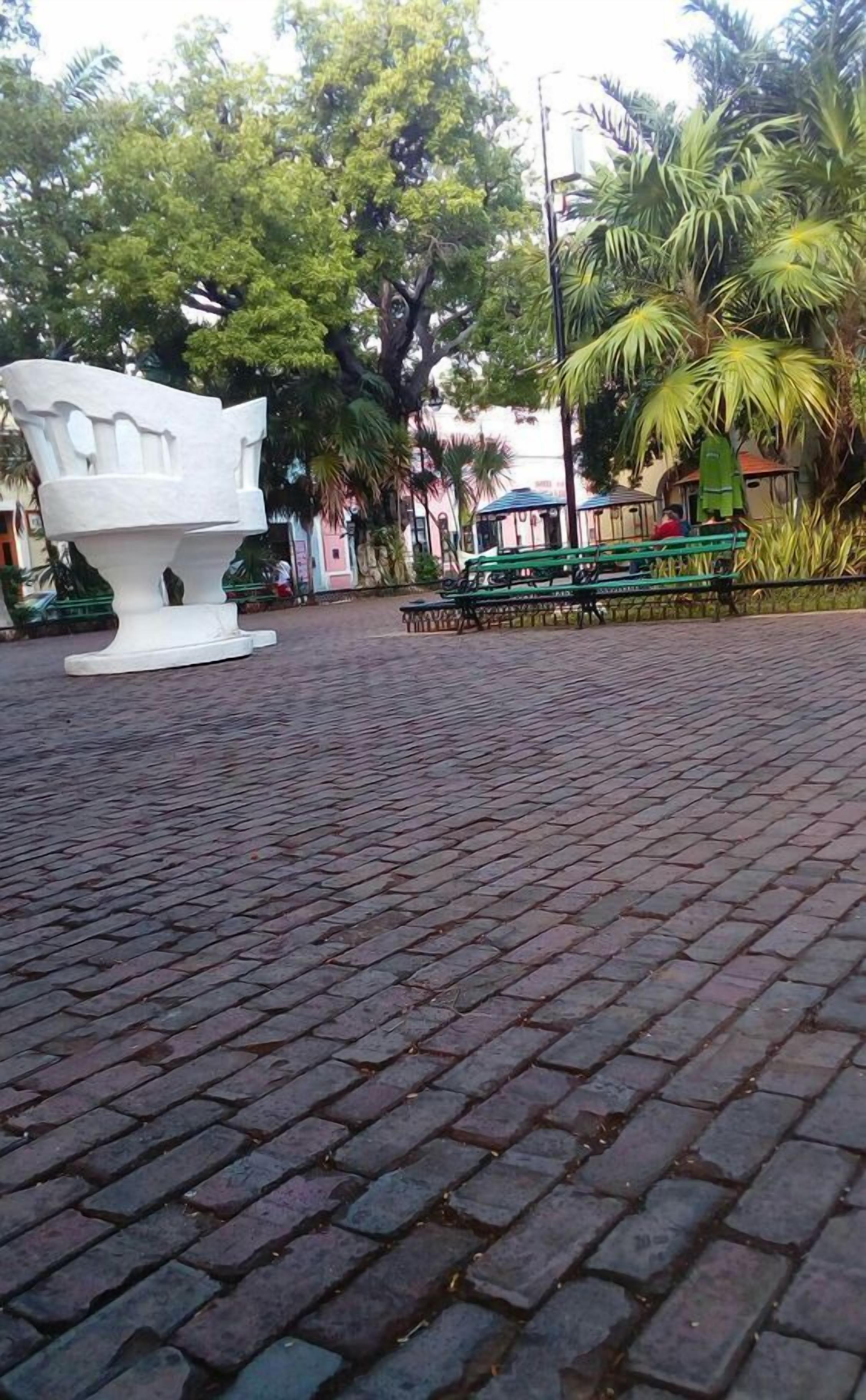 Foto - Hotel Casa Pellegrin