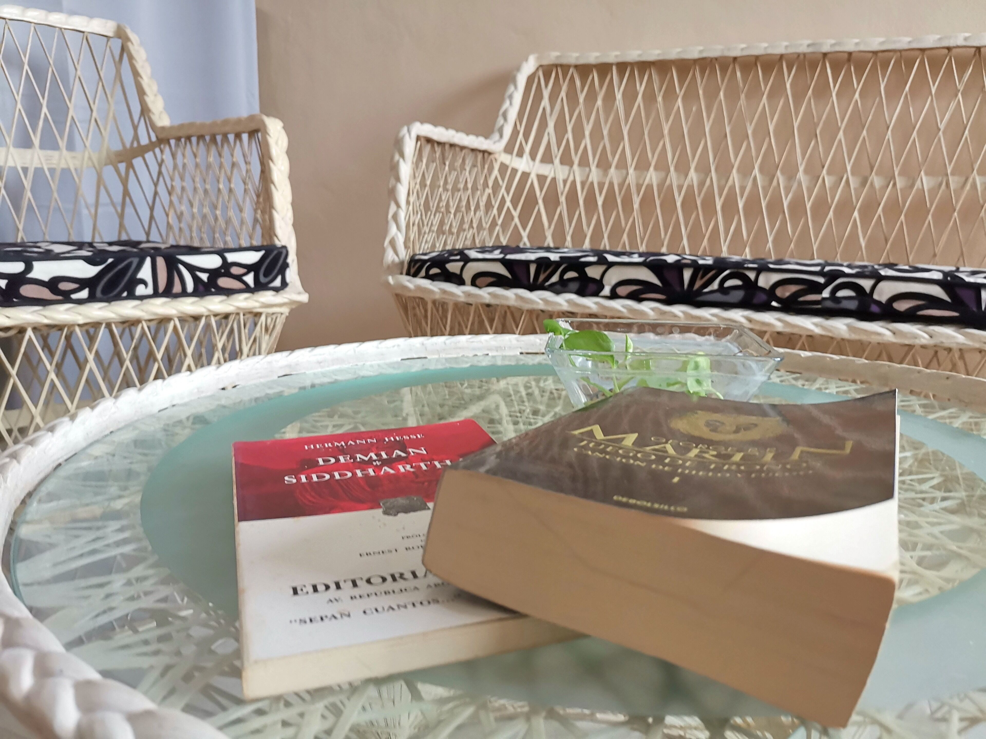 Foto - Hotel Casa Pellegrin