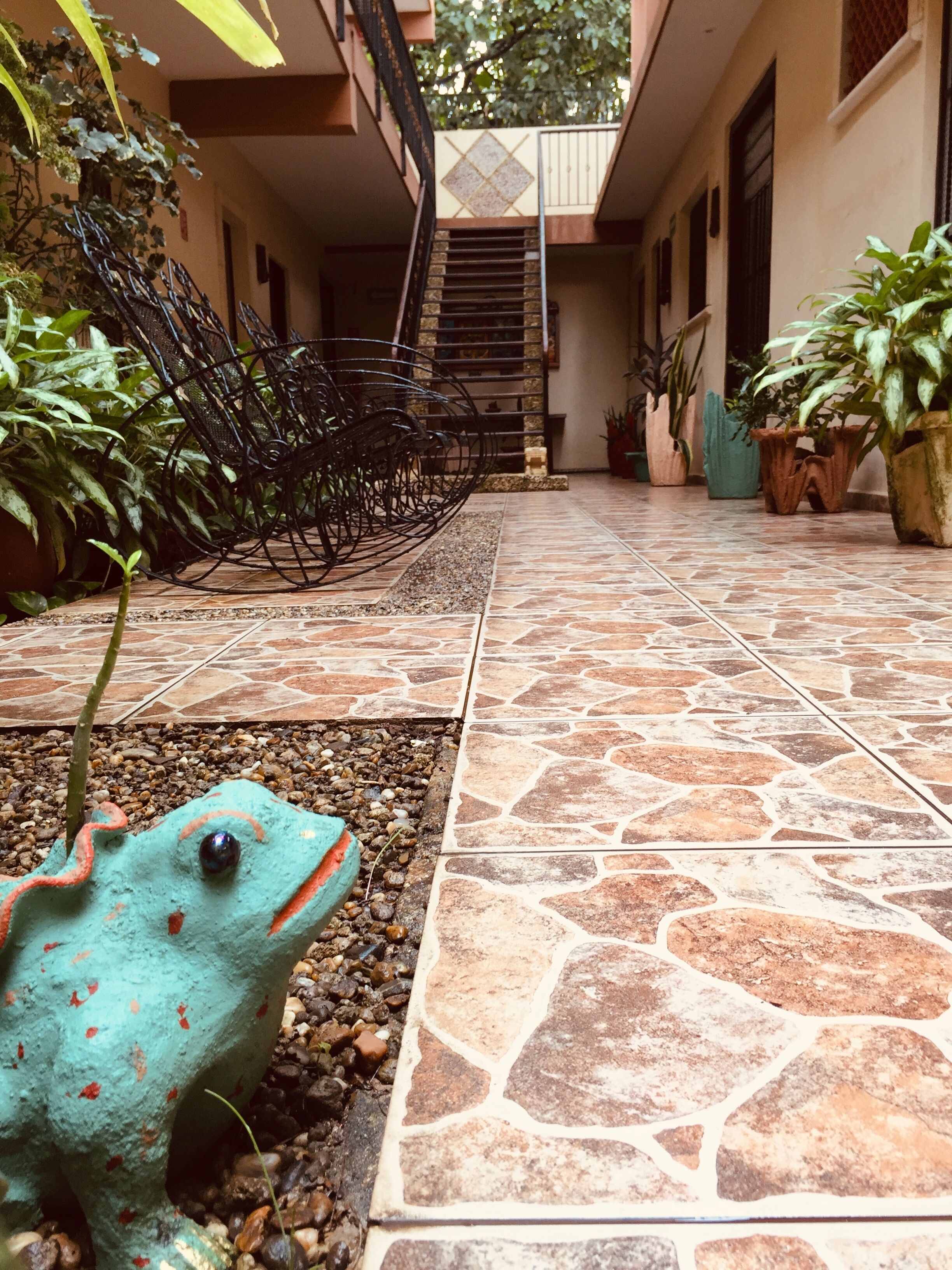 Foto - Hotel Casa Pellegrin