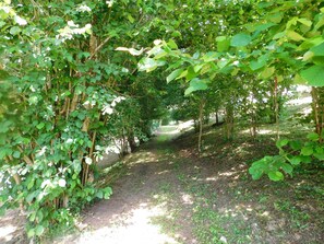 Garden - Domaine la Bastide (Cleyrac)