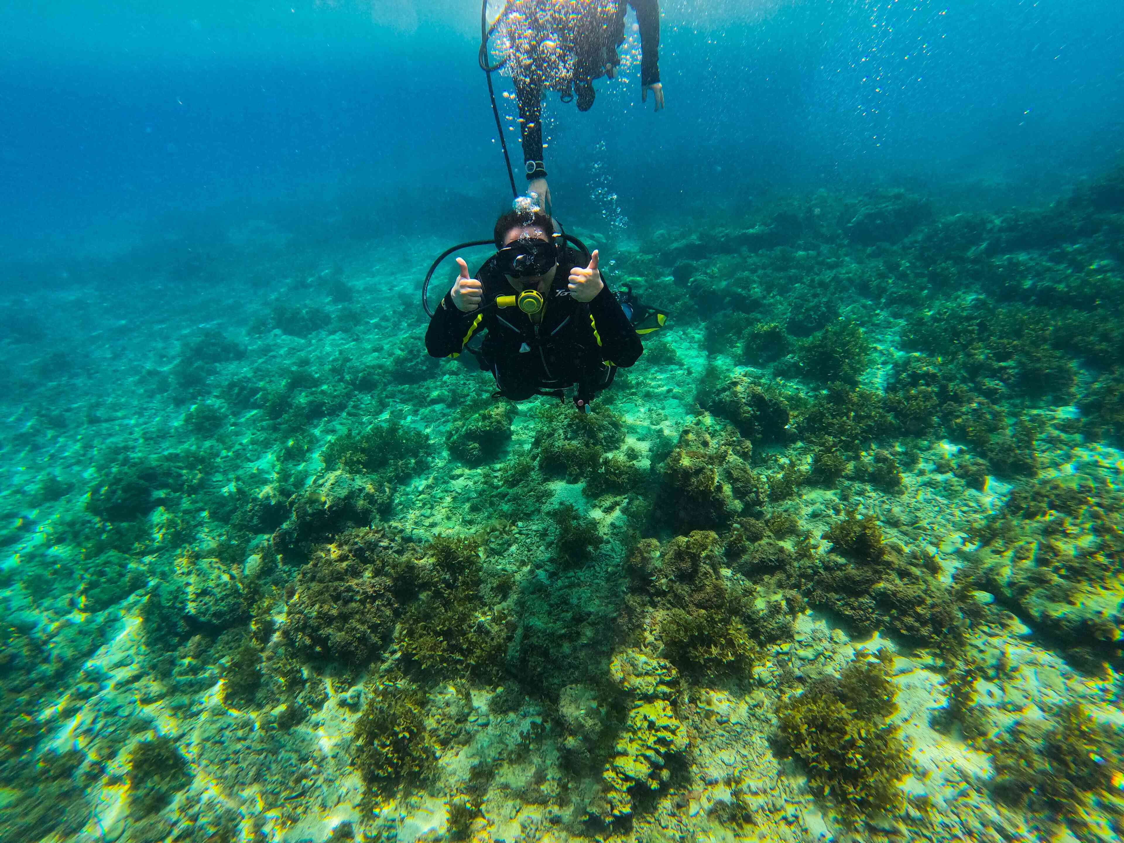 Un plongeur sous l’eau, équipé d’un appareil photo, entouré de coraux et d’une faune marine.