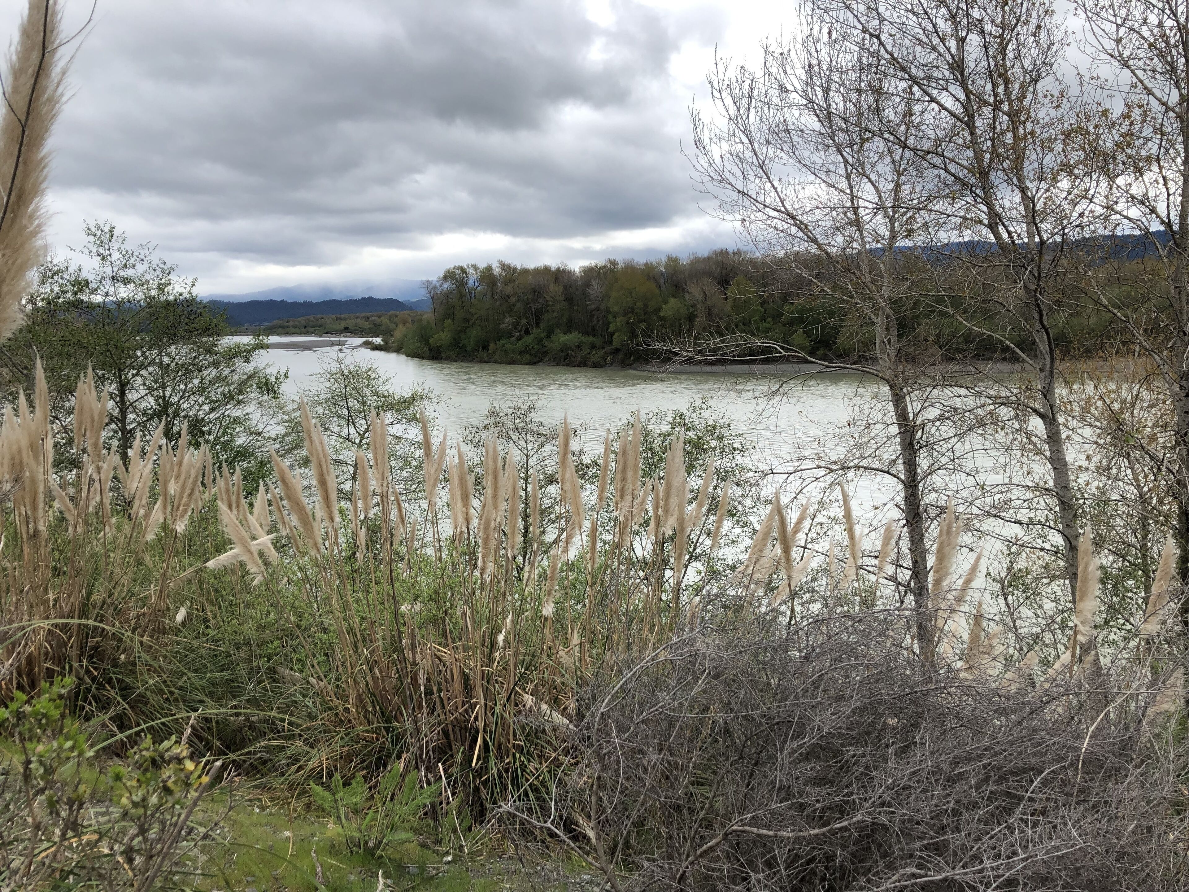 A river with surrounding vegetation and trees.