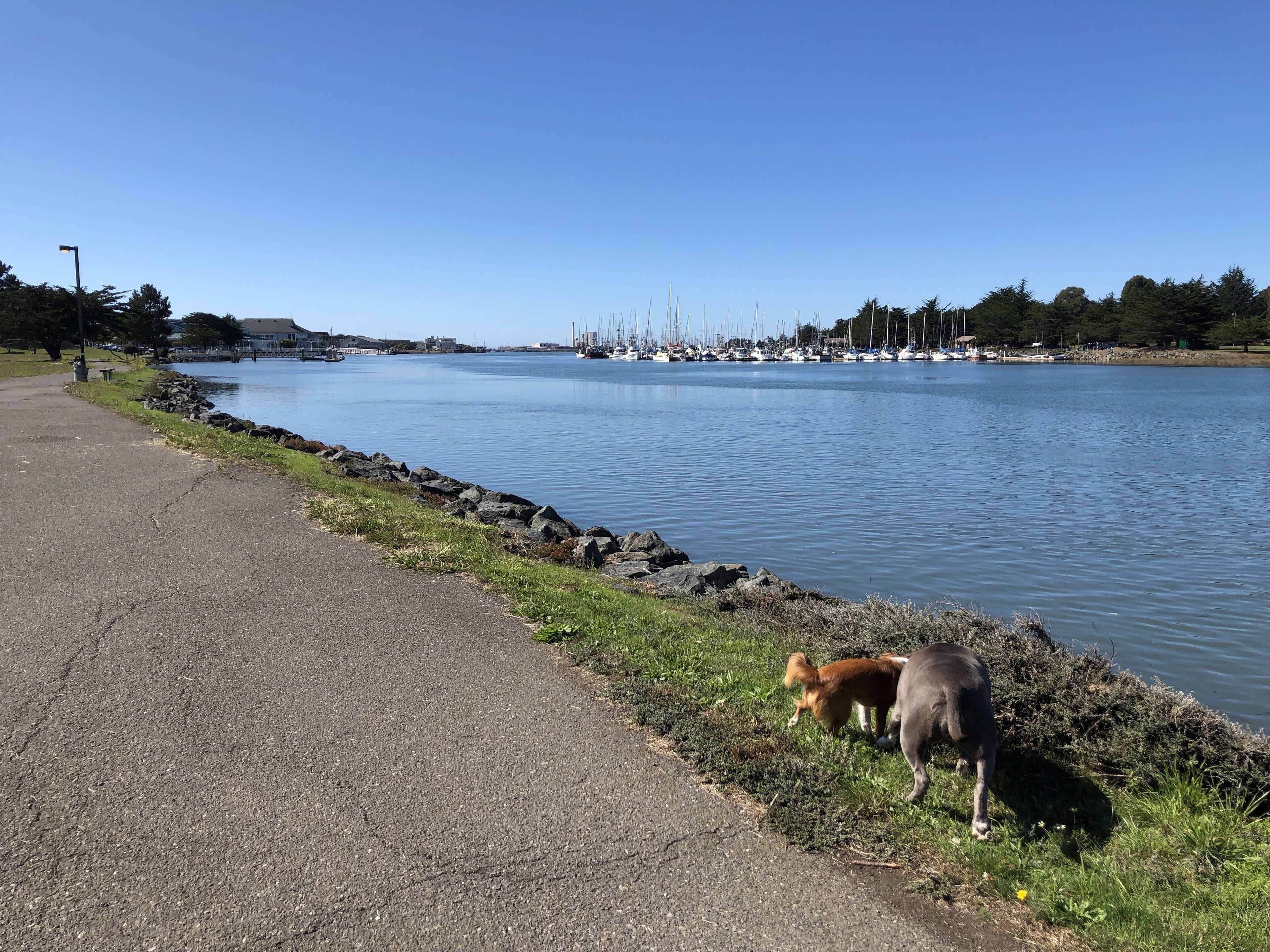 Un chemin pavé longe une étendue d’eau calme, avec des bateaux amarrés au loin.