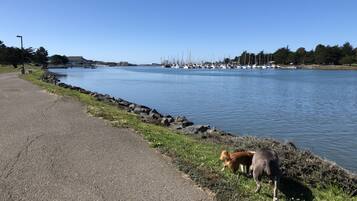Un chemin pavé longe une étendue d’eau calme, avec des bateaux amarrés au loin.