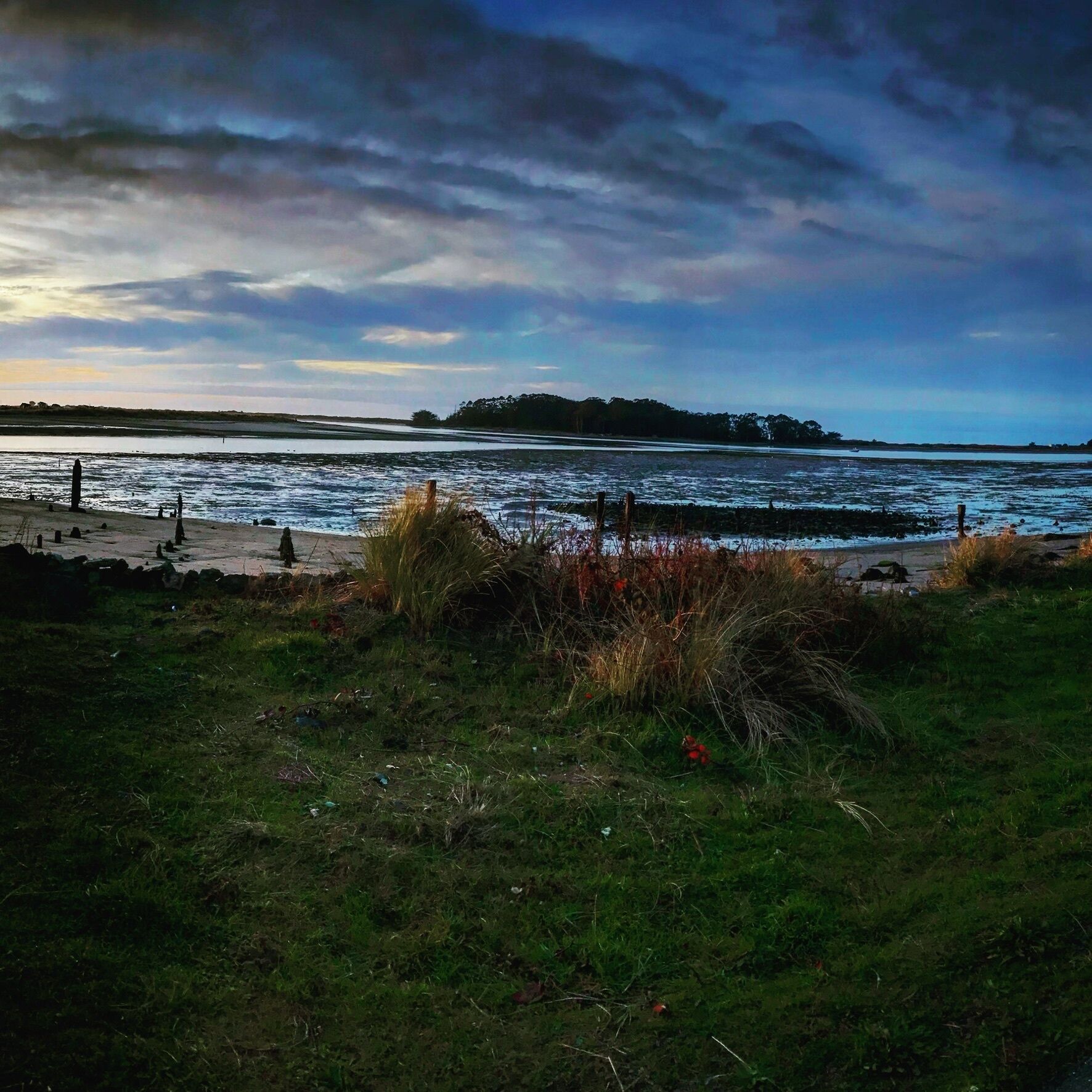 A coastal landscape with a grassy foreground, a body of water, and a distant tree line under a cloudy sky.