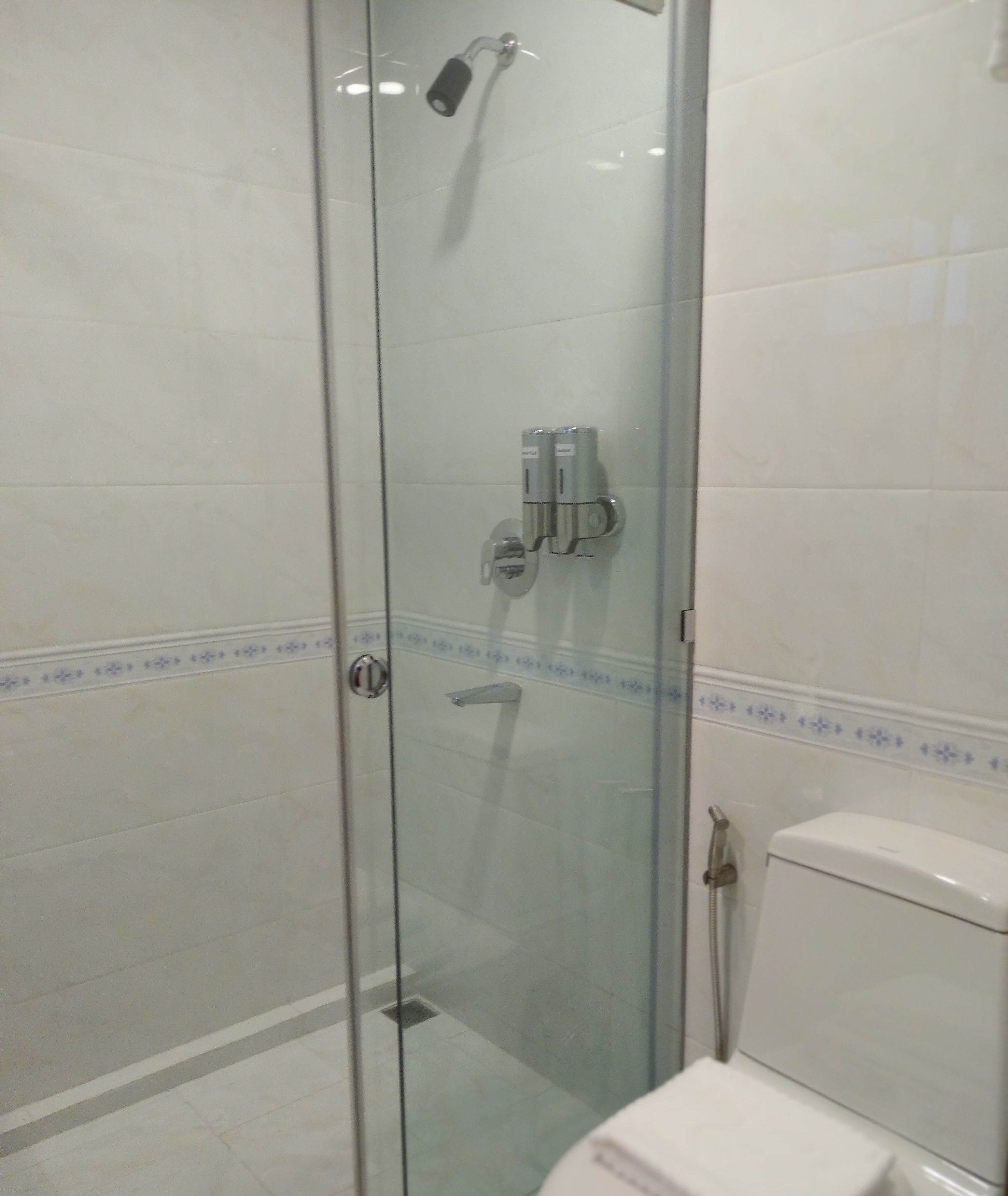 A glass-enclosed shower stall with a toilet to the right.