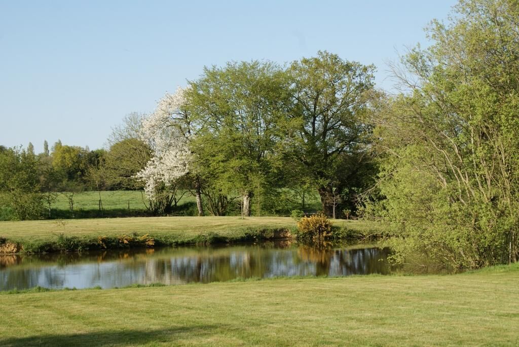 A tranquil park with a pond, lush greenery, and trees.