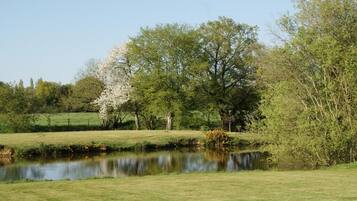 A tranquil park with a pond, lush greenery, and trees.