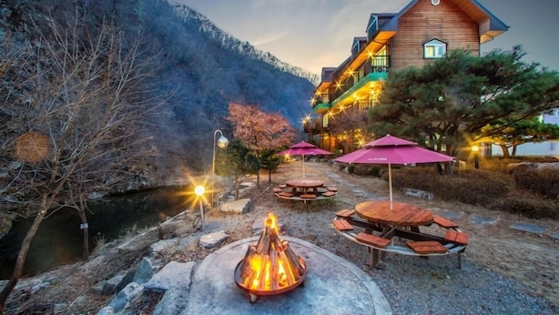 A lodge with a fire pit and outdoor seating, surrounded by trees and a river.