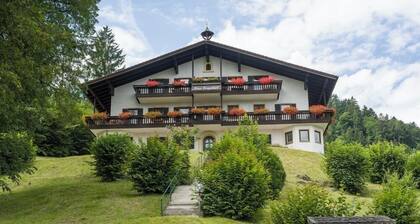 2 Zimmerwohnung mit Terrasse. Hunde sind auch willkommen,neues Badezimmer,Küche