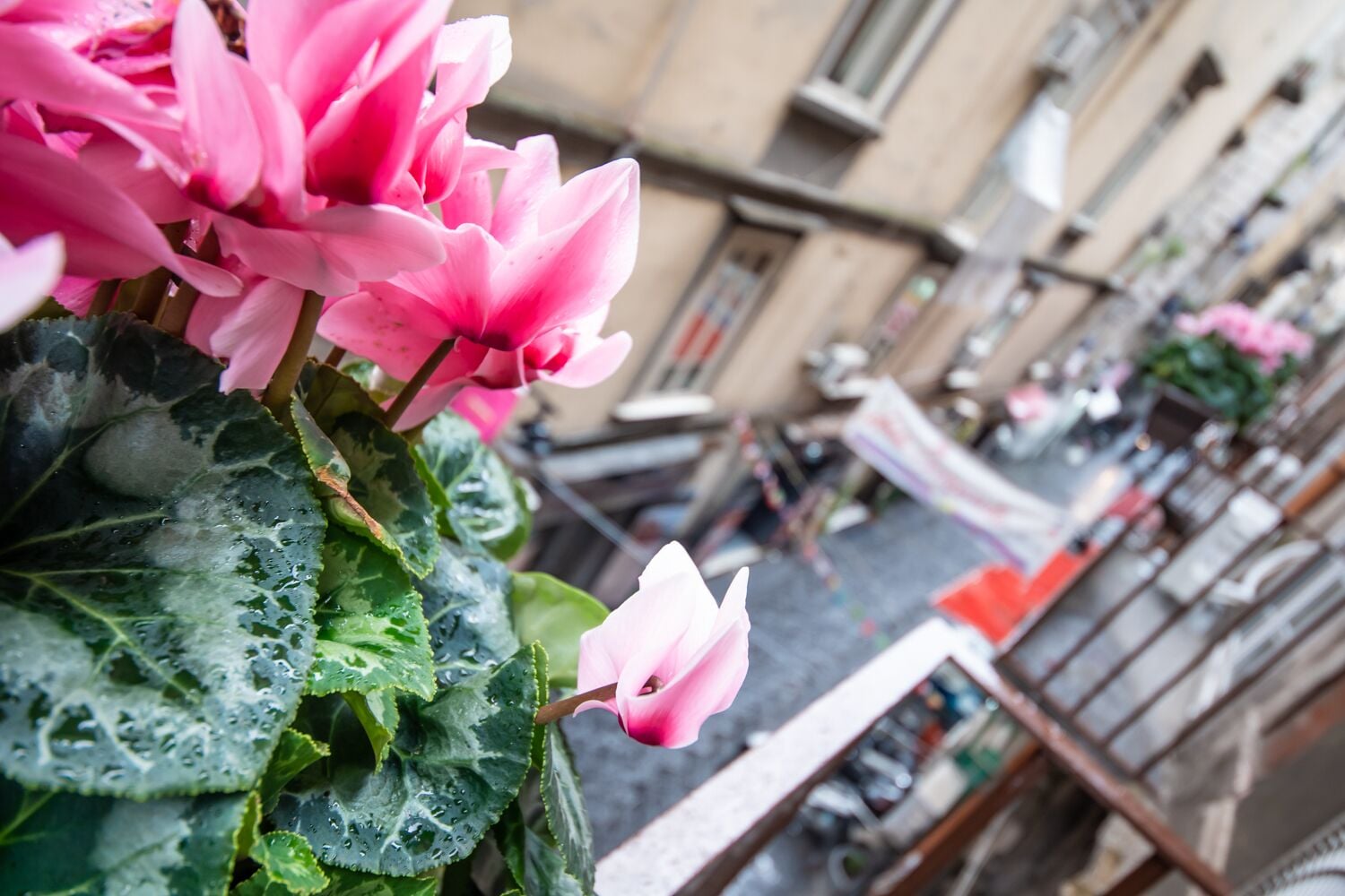 Foto - B&B Napoli Time