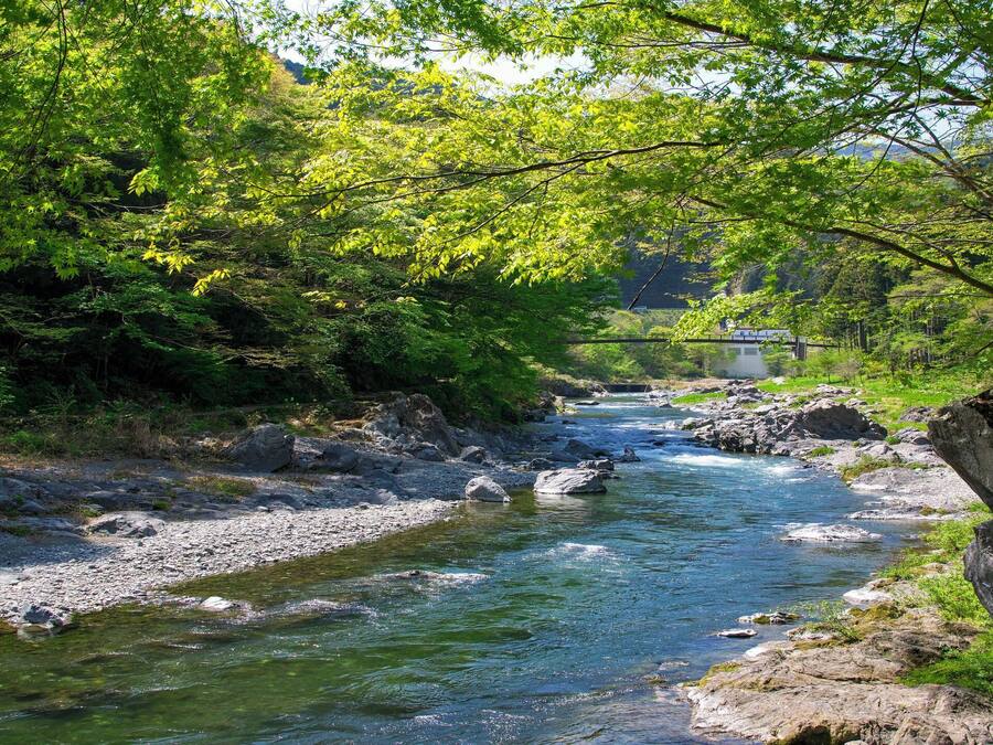 A river flowing through a forested area with rocky banks and dense green foliage.