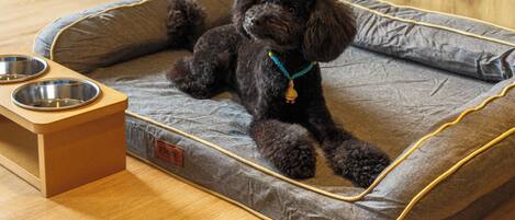 A small, dark-colored dog lying on a gray pet bed with a wooden base and metal bowls.