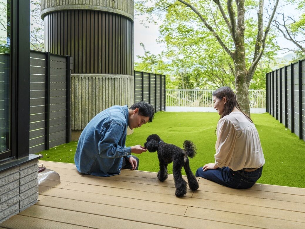 A wooden deck with a small black dog, two people interacting, and a green lawn in the background.