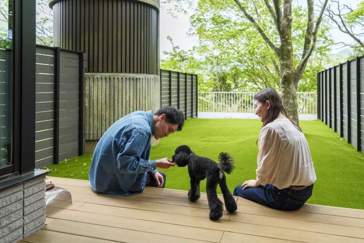 A wooden deck with a small black dog, two people interacting, and a green lawn in the background.