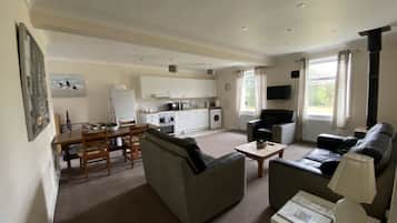 Smart TV, fireplace, books