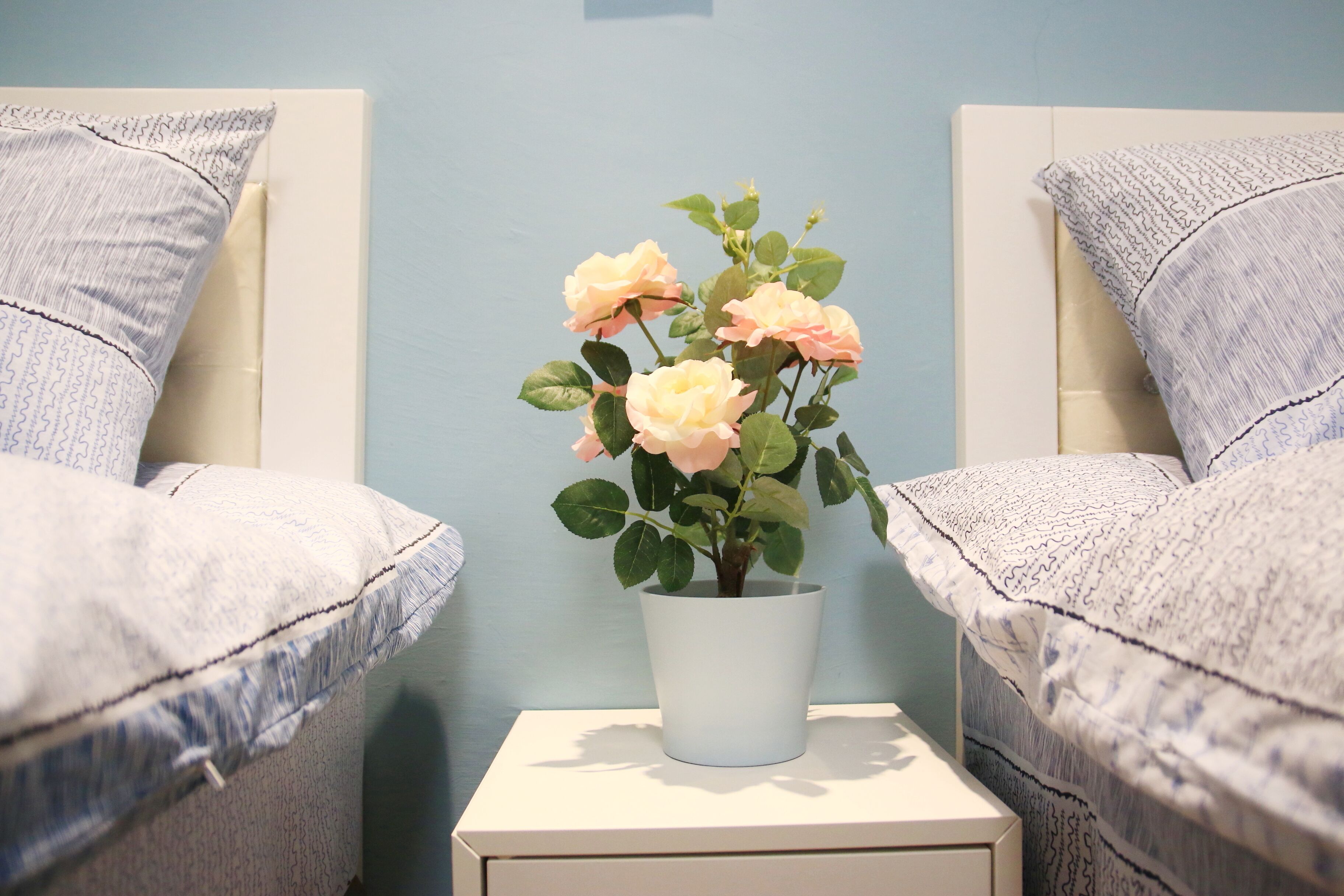 A bed with a white headboard, a small white nightstand with a potted plant, and a light blue wall.