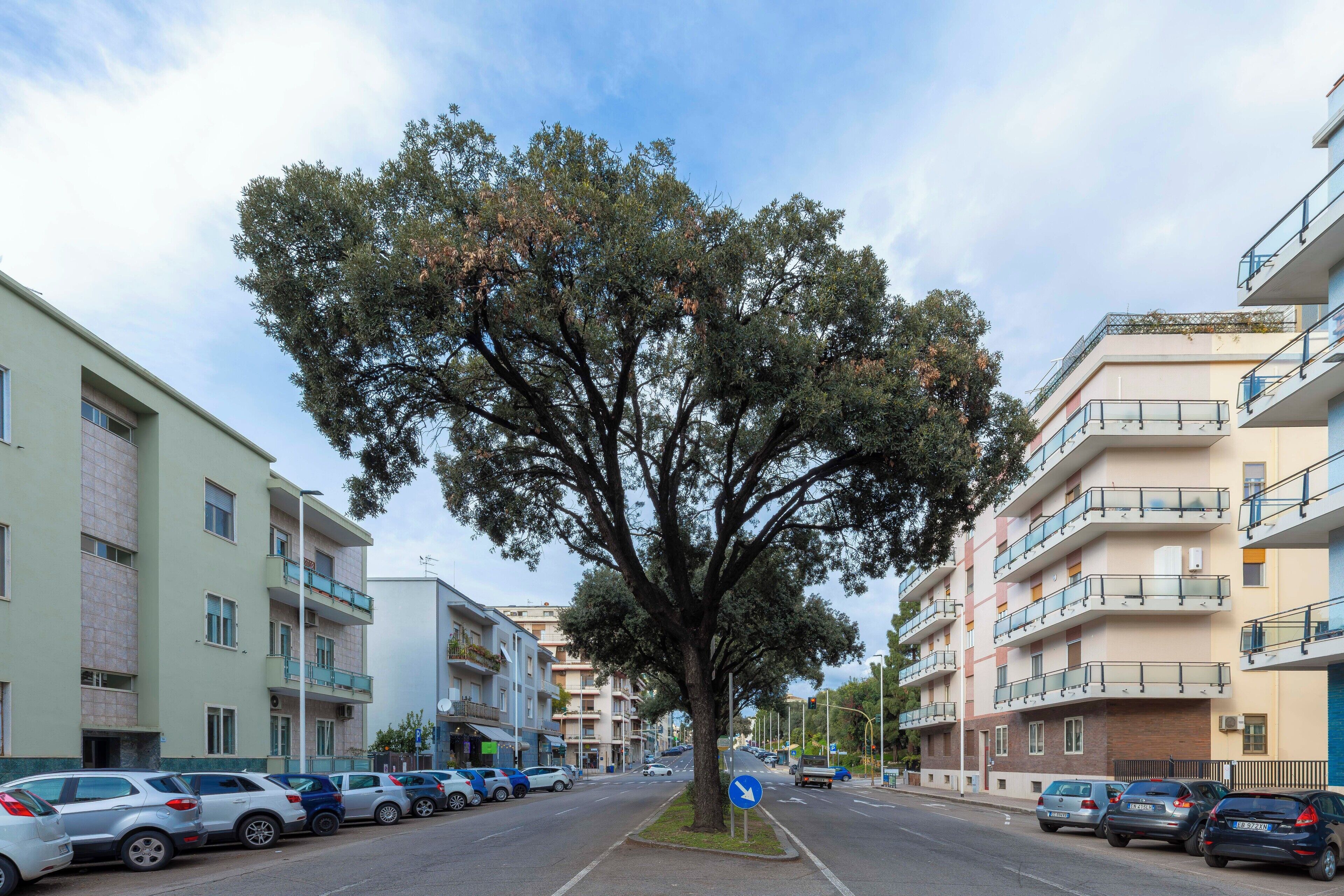 Photo - Mapi's Rooms - Eja Sardinia