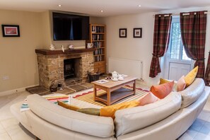 TV, fireplace, books, stereo