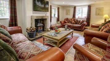 Televisio, takka, kirjoja, stereot