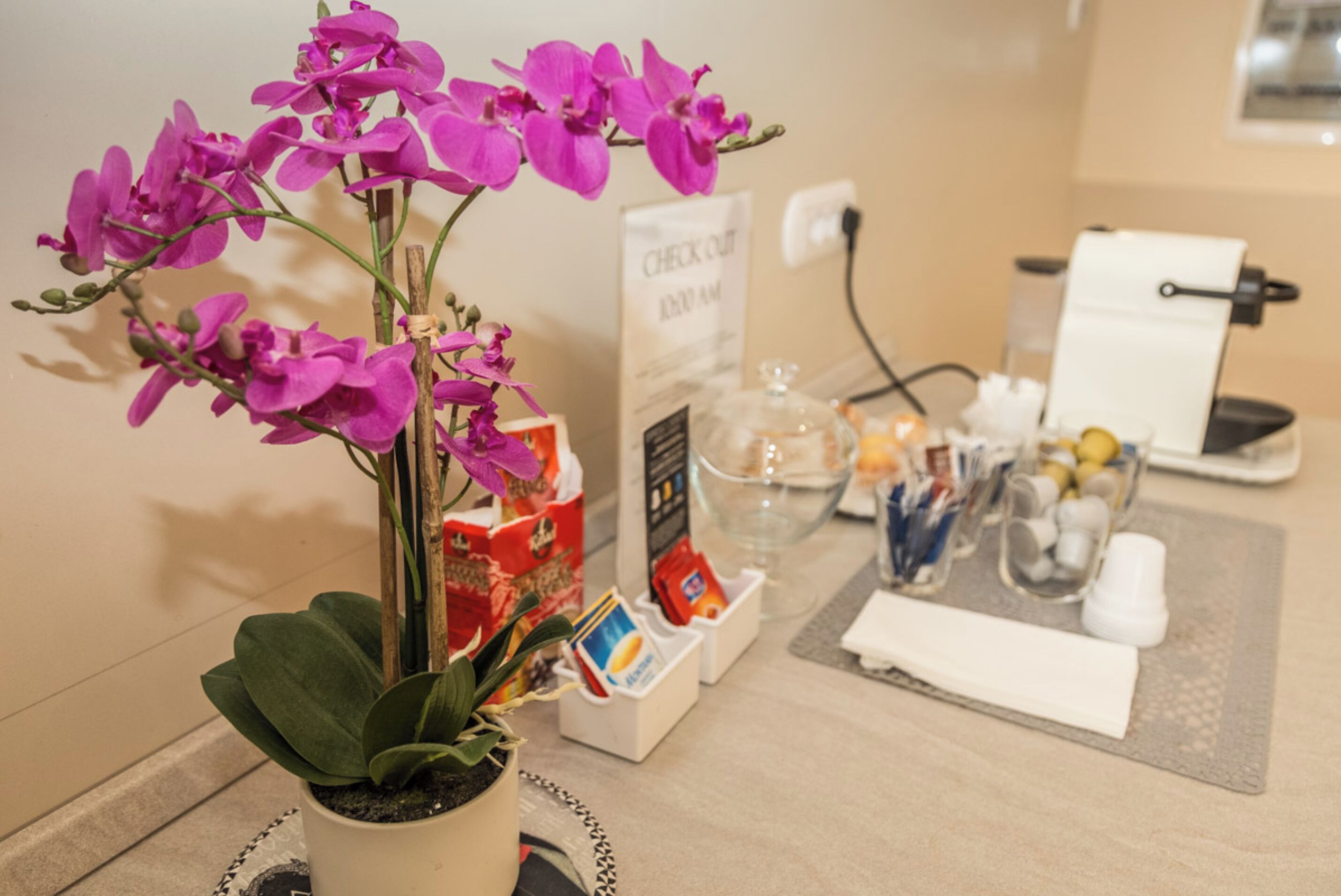 48-inch flat-screen TV with digital channels, TV, Netflix