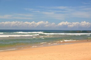 Playa en los alrededores 