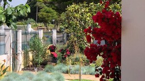 A garden with a variety of plants and a small tree with red flowers. - Buganvilia do Meco B&B (Sesimbra)