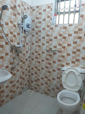Shower, towels, toilet paper
